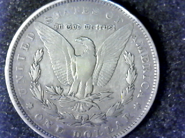 1891-Morgan-$1---Shiny-Obverse?